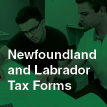 NL Tax Form Button